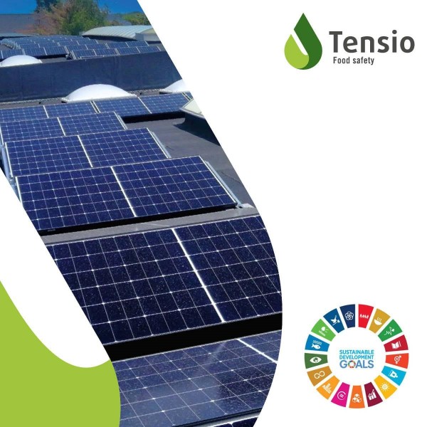 Tensio installeerde 554 zonnepanelen en plukt daar nu al de vruchten van